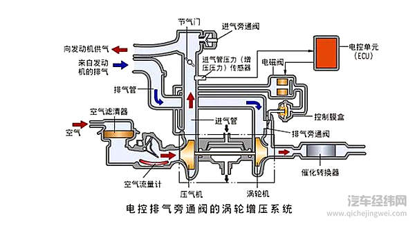 涡轮车里都养了一只鸟？