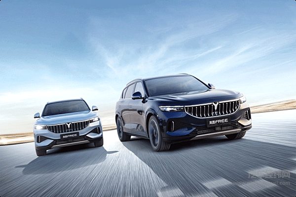 国产高端纯电动SUV二选一 是要低配的蔚来ES6还是高配的岚图FREE？