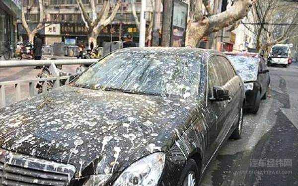 手机NFC车钥匙真的安全吗 跟风特斯拉是对是错？！