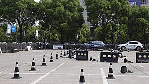 这个“网红”圈了大批粉丝 竟要在长沙验明真身！