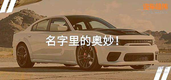 长城开动物园 比亚迪承包王朝 汽车取名不完全盘点