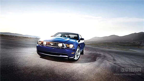 55岁的小马驹，生日快乐