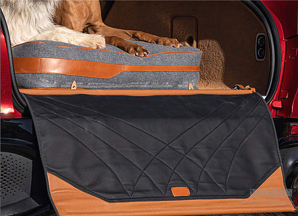 跑车玩腻了改造SUV？阿斯顿·马丁DBX跨界要火！