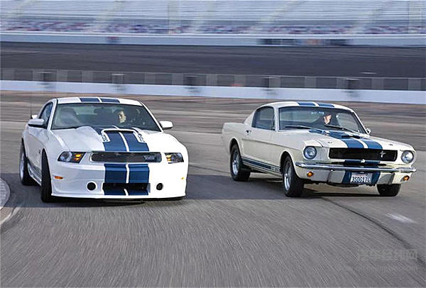 一匹脱缰野马的传奇故事