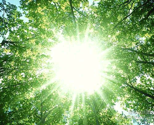 快节奏的生活过太久 森林人给你一个机会体验慢生活