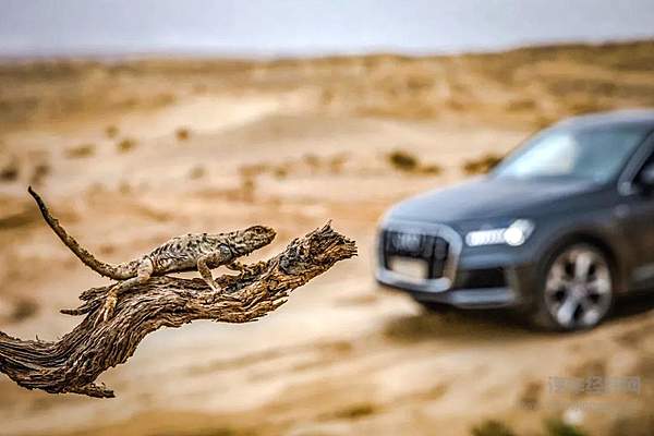 无畏前行 奥迪Q7开启壮阔探索之旅！