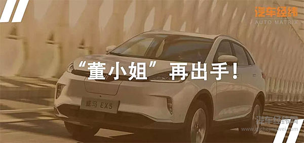 威马为董明珠的“造车梦”铺路！