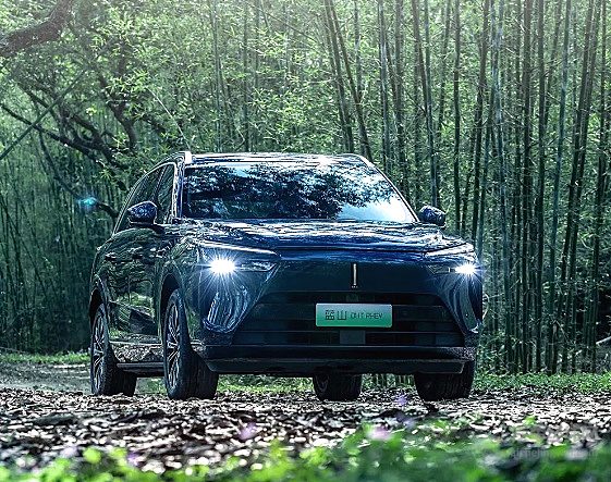 8小时蓝山露营派对燃购 魏牌818新能源购车节