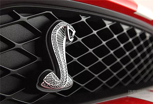 一匹脱缰野马的传奇故事