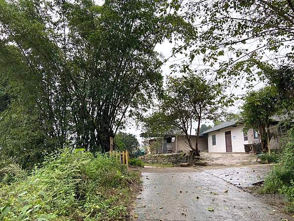 尹明善捐钱修的水泥路