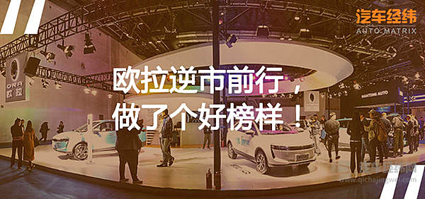 “寒冬”让人措手不及 长城欧拉iQ为何还能“独得恩宠”？！