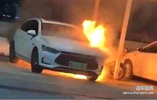  电动车本没有错 整天对燃油车喊打喊杀才令人反感