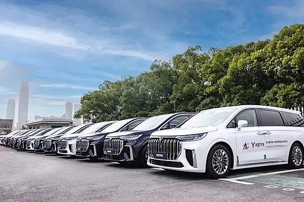 助力中非经贸合作 岚图梦想家已做好准备