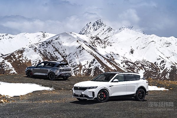 智能化水平大幅提升 岚图FREE 318是你的菜吗？