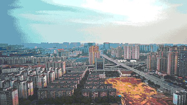 这个“网红”圈了大批粉丝 竟要在长沙验明真身！