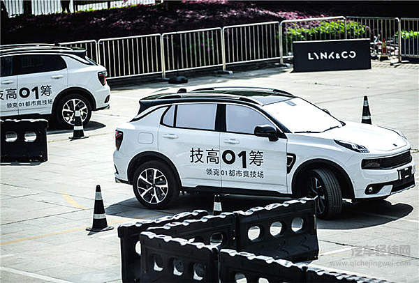 这个“网红”圈了大批粉丝 竟要在长沙验明真身！