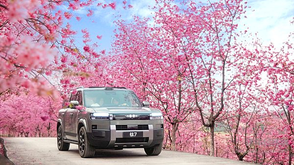 2026 全球新能源汽车销量前瞻 中国持续领跑产业发展