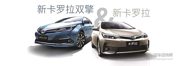 物种灭绝警告：致我们终将消失的手动挡！