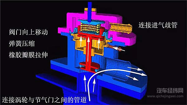涡轮车里都养了一只鸟？