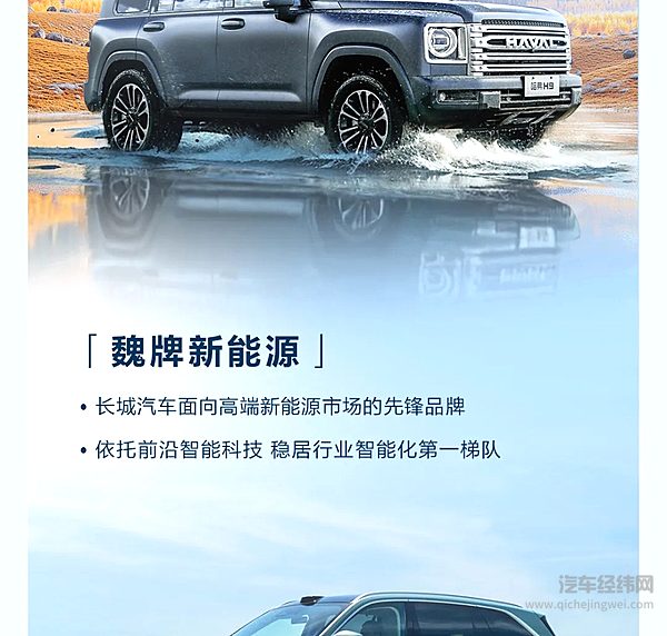 高质量发展再进阶长城汽车2024年营收2,021.95亿元创历史新高