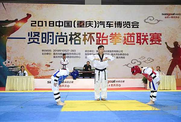 “不断创新 追求卓越”2018第八届重庆车博会圆满收官