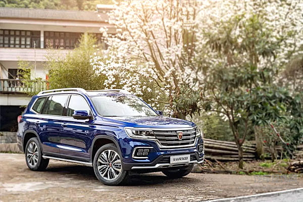 这些自主品牌是一袭华美的袍，里面爬满了虱子