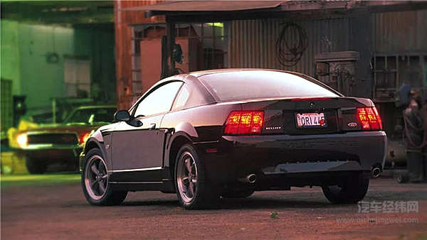 55岁的小马驹，生日快乐