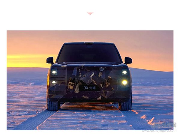 极氪2025年3月大事件