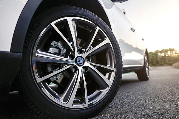 比亚迪唐EV抢镜圆石滩车展！