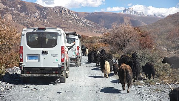欧霸·山海：一场关于“移动的家”与人生征途的深度对话