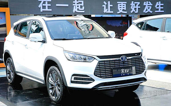 都去成都找“抖音小甜甜” 而我却想养活TA！