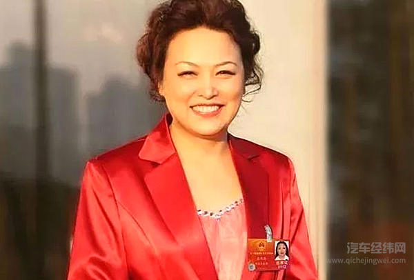 两会新能源汽车声音一网打尽