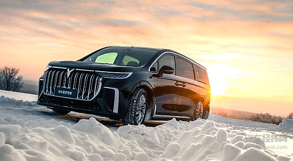 梦想家拿下半壁江山 岚图2024年前景如何？