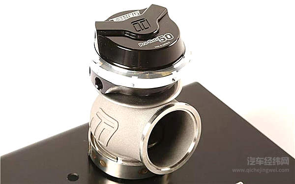 涡轮车里都养了一只鸟？