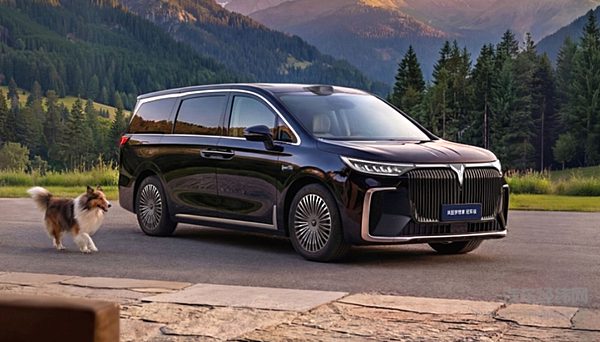 30万级高端MPV二选一 岚图梦想家与腾势D9谁更强？