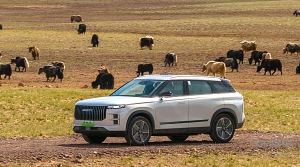 奇瑞C-DM系统渐入佳境能否成为国产三甲？