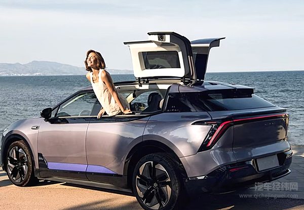 高合HiPhi Y迎战蔚来ES6 你会PICK哪个？