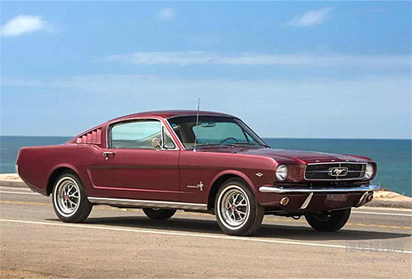 55岁的小马驹，生日快乐