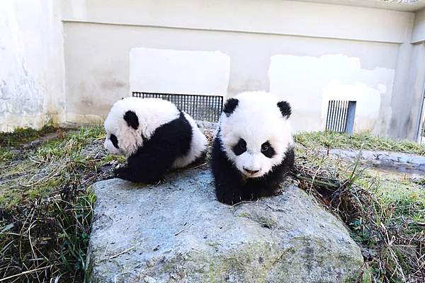 梅赛德斯-EQ之夜 “电”亮美好未来