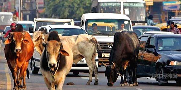 从收购了捷豹路虎的塔塔集团 看印度和中国的差距有多大？