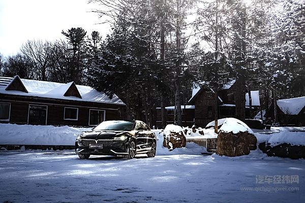 岚图和猛士能否撬开欧洲市场的大门？