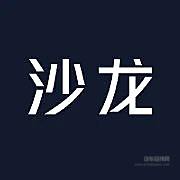 长城沙龙首度亮相 如何打破消费者的高端疲劳？