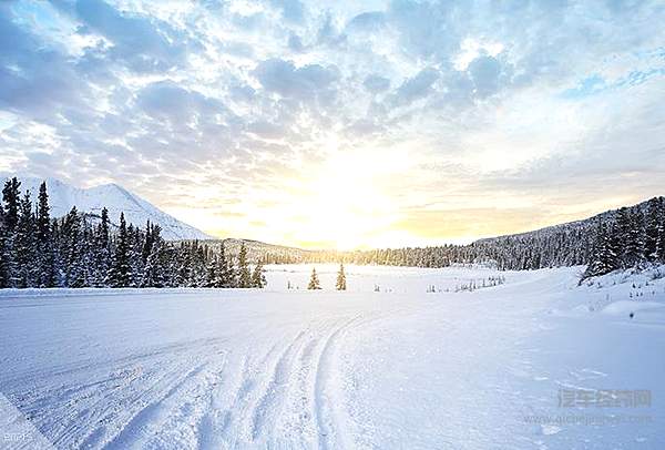 购置税传闻真假背后，车市的“信心”和“反弹点”在哪？