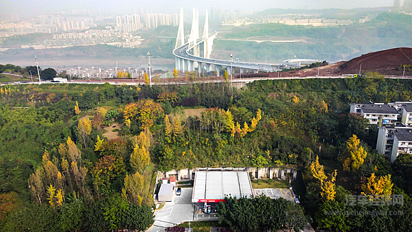 合作一周年 蔚来与中国石化共建175站