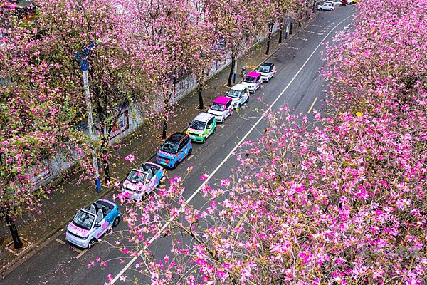 渗透率超过60% 上汽通用五菱能否成功转型？