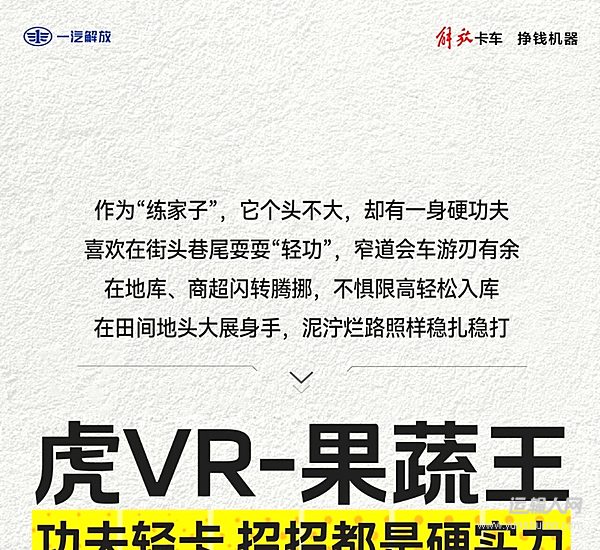 解放轻卡:功夫轻卡虎VR