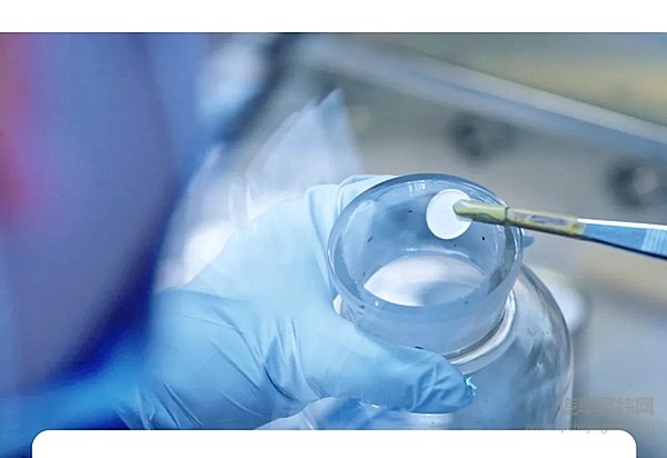 宁德时代2024年财报发布：创新加码 全球化提速