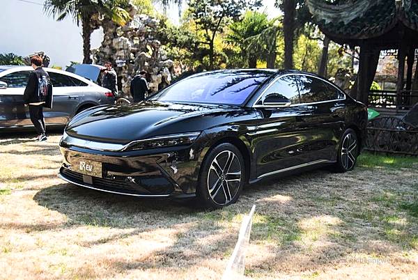 同样是30万元以下 选特斯拉还是比亚迪？