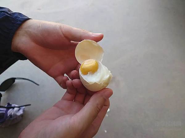 2年、3种极端环境、4万条标定数据 他们让车真正“活”起来