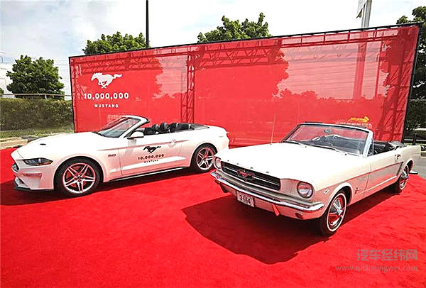 一匹脱缰野马的传奇故事